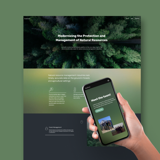 Website