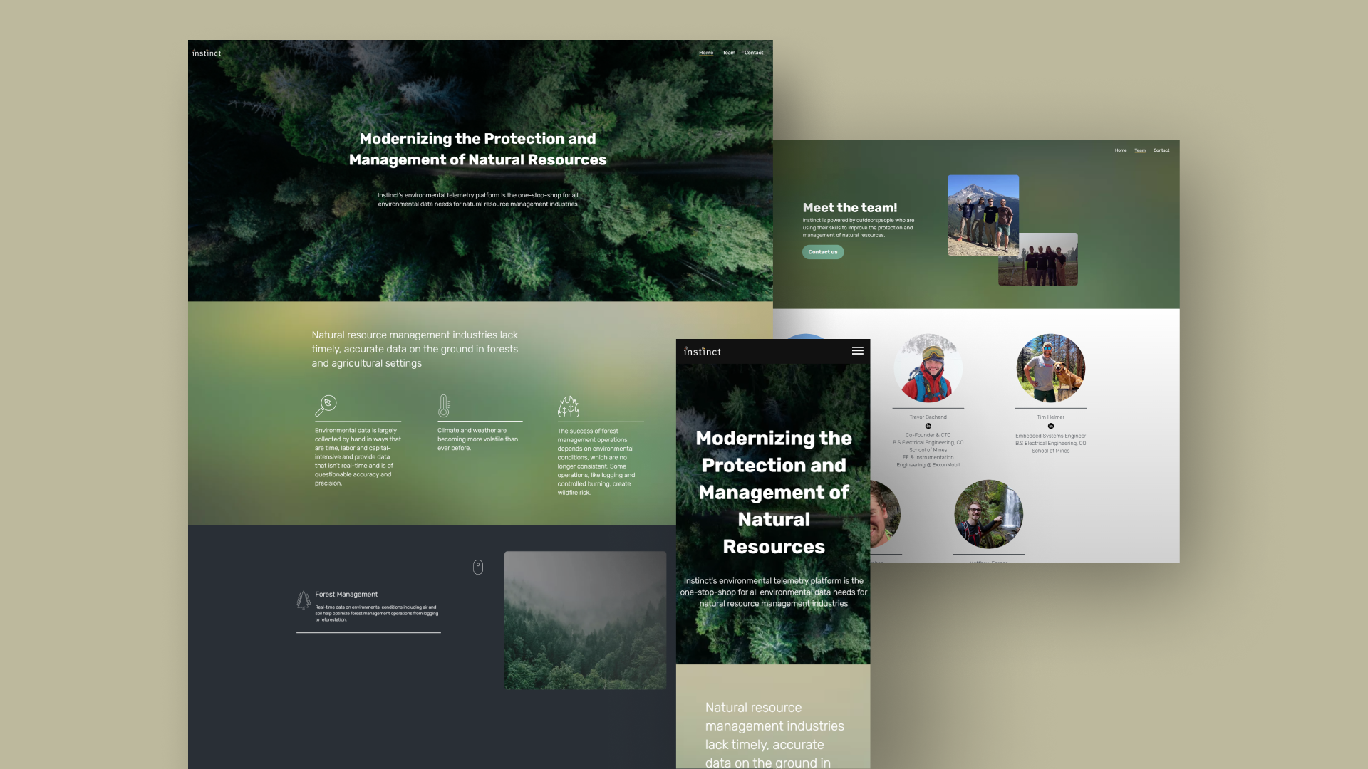 Website-Instinct